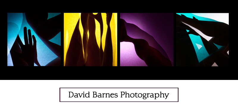 David Barnes Photography